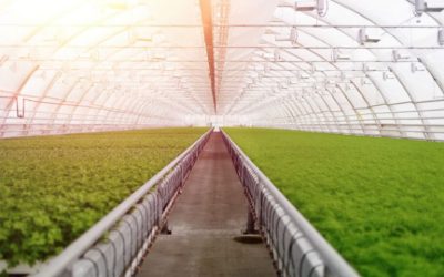 Gain Better Insights Into Farm Operations With Farm And Farmer Record Keeping Software